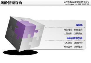 禾清咨詢 助您精準掌控風險，賦能企業(yè)穩(wěn)健前行